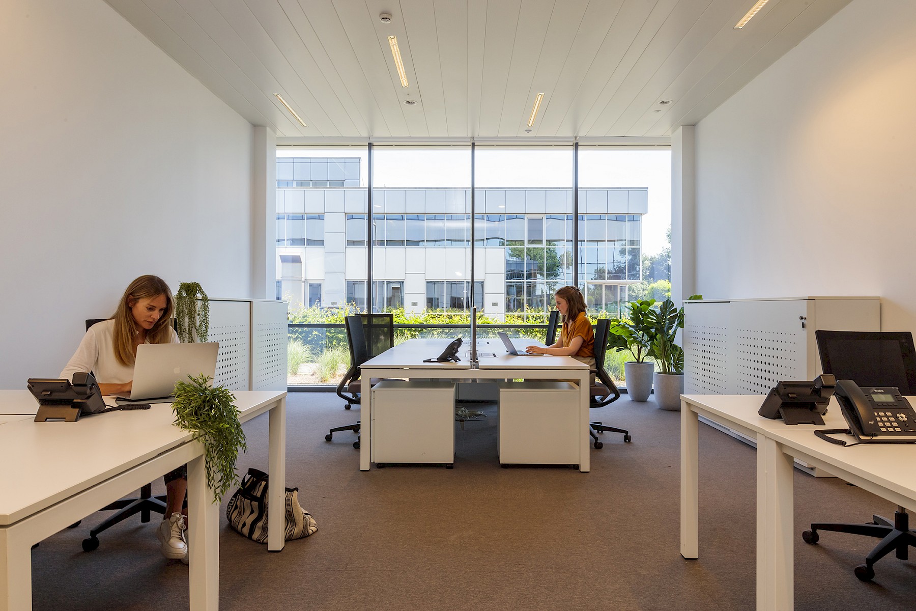 Flex Offices